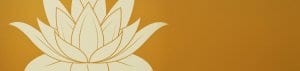 Lotus flower banner image